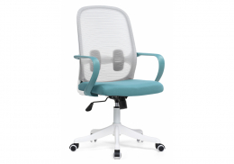 Компьютерное кресло Bust gray / blue / white (60x60x102)